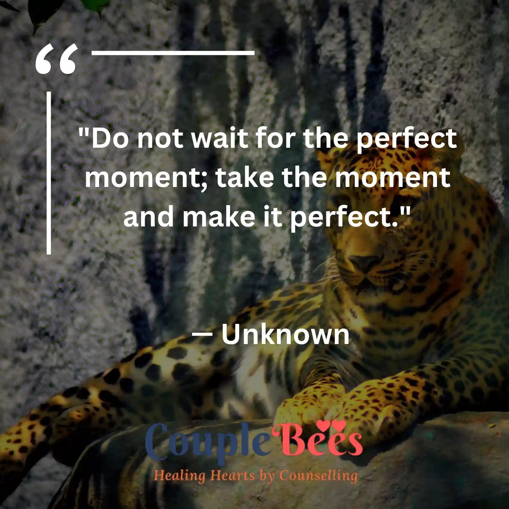 Attitude Quotes | HopeQure