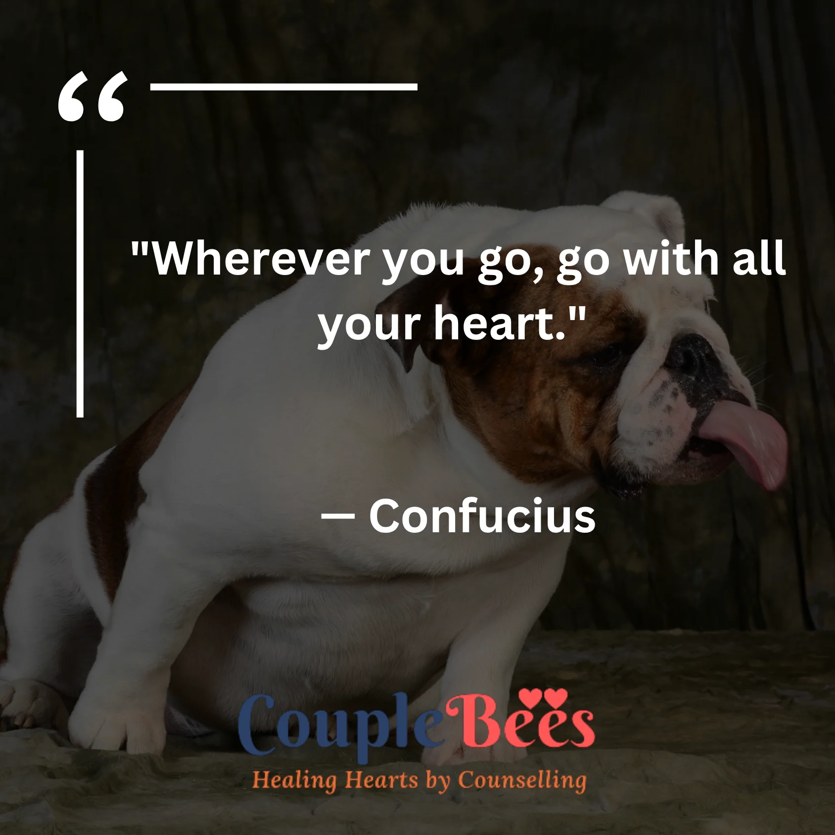 Attitude Quotes | HopeQure