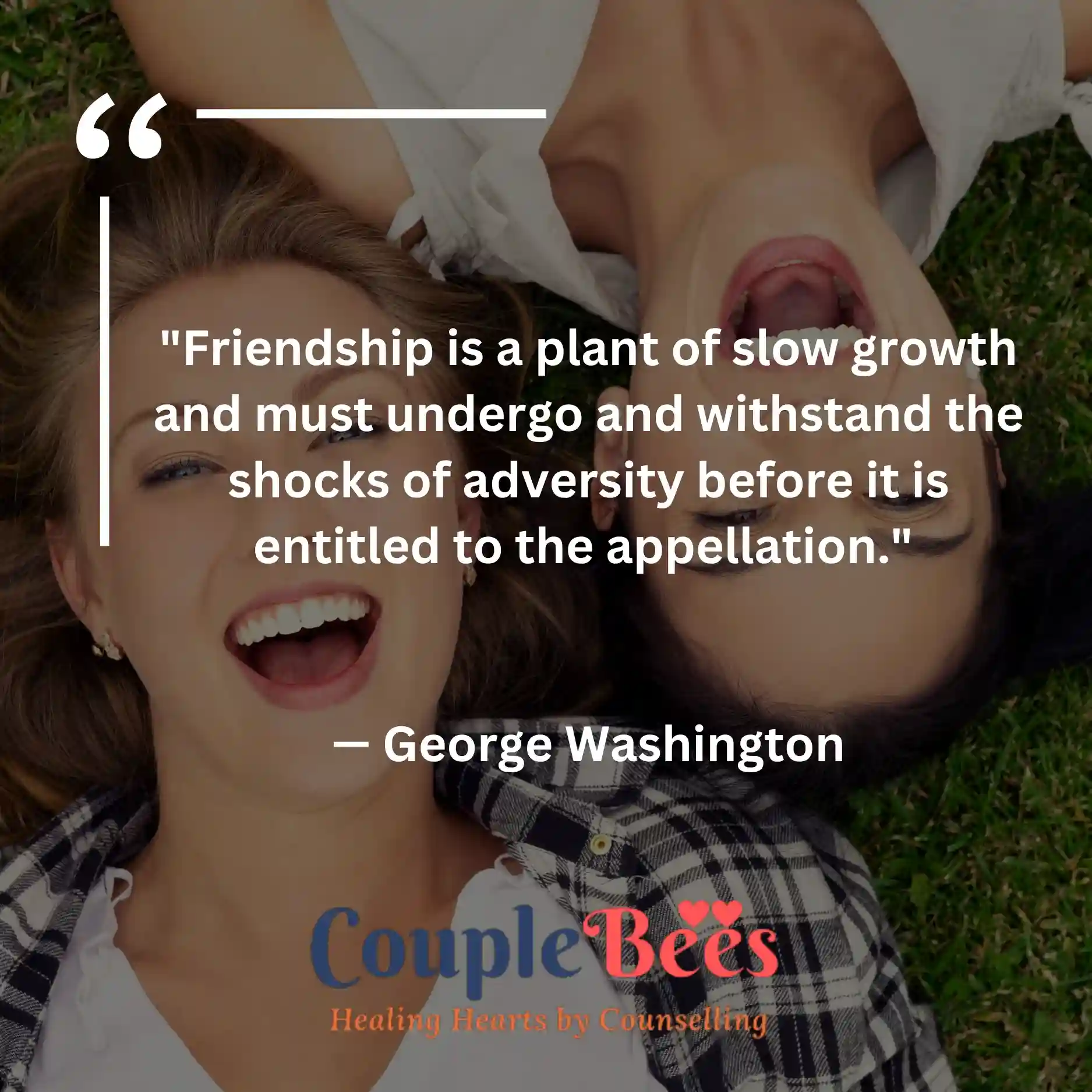 Best Friend Quotes | HopeQure