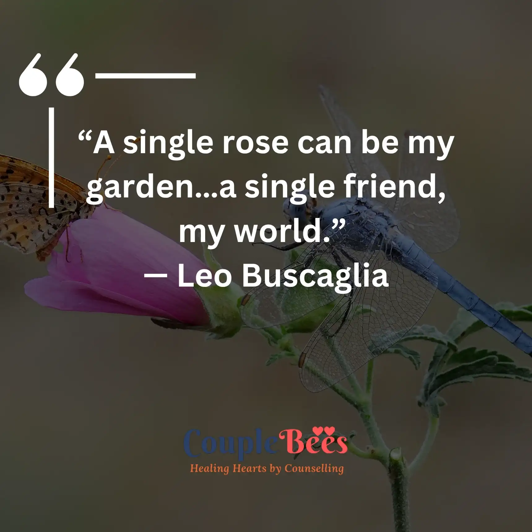 Friendship Quotes | HopeQure