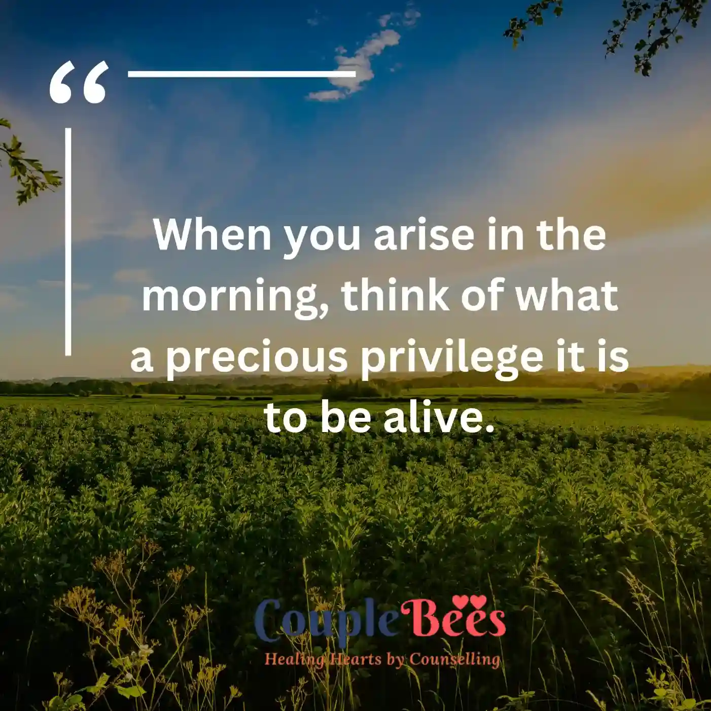 Good Morning Quotes | CoupleBees