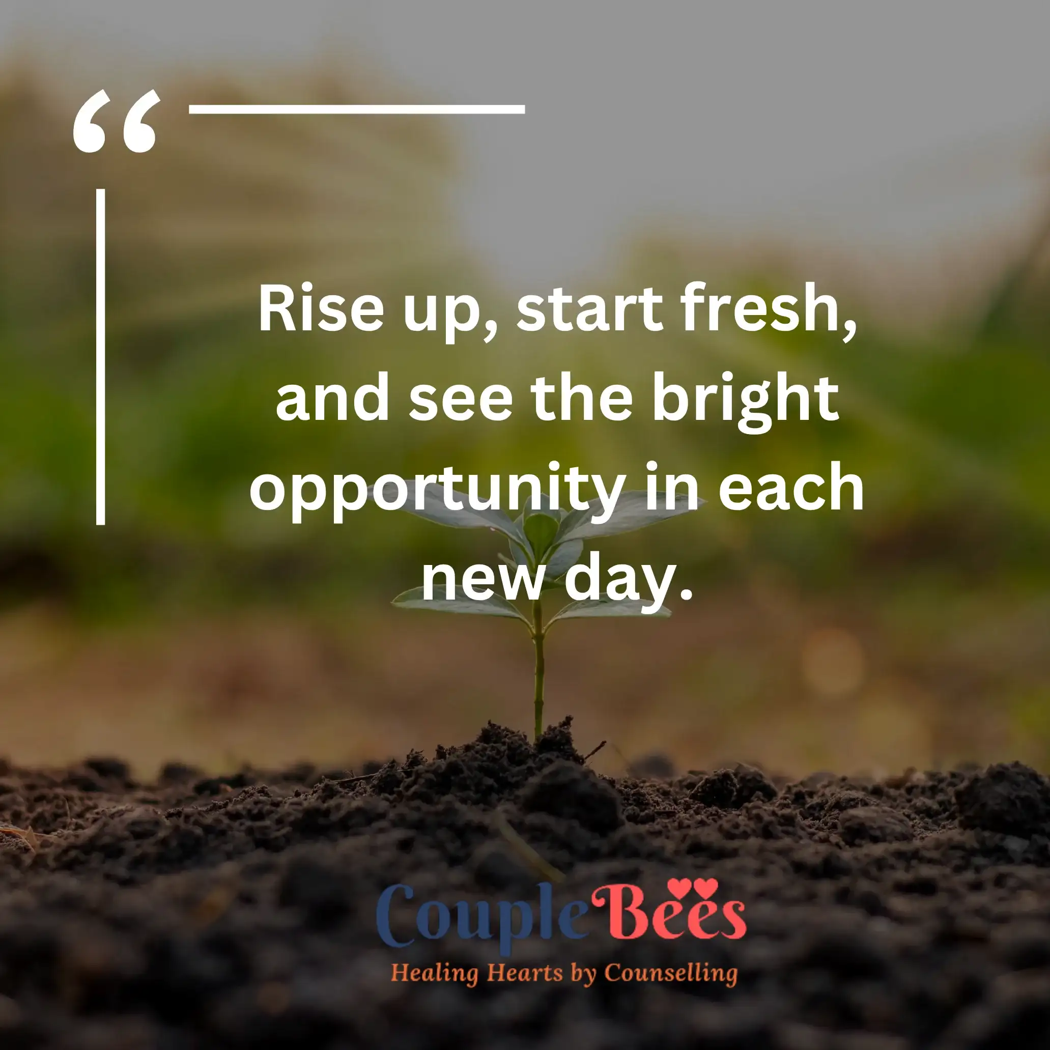 Good Morning Quotes | CoupleBees