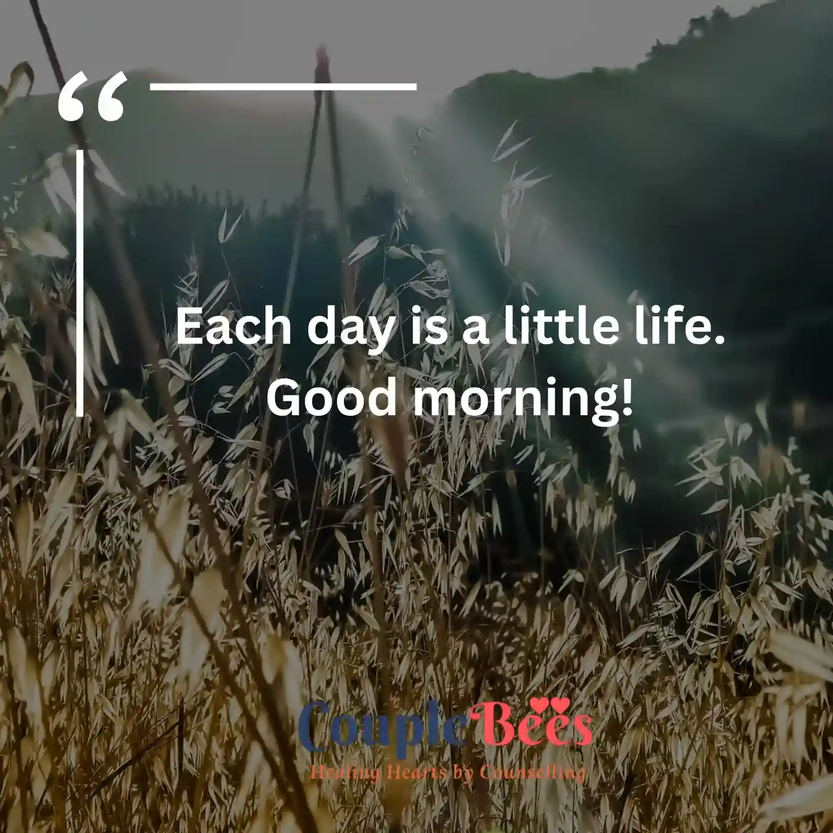 Good Morning Quotes | CoupleBees