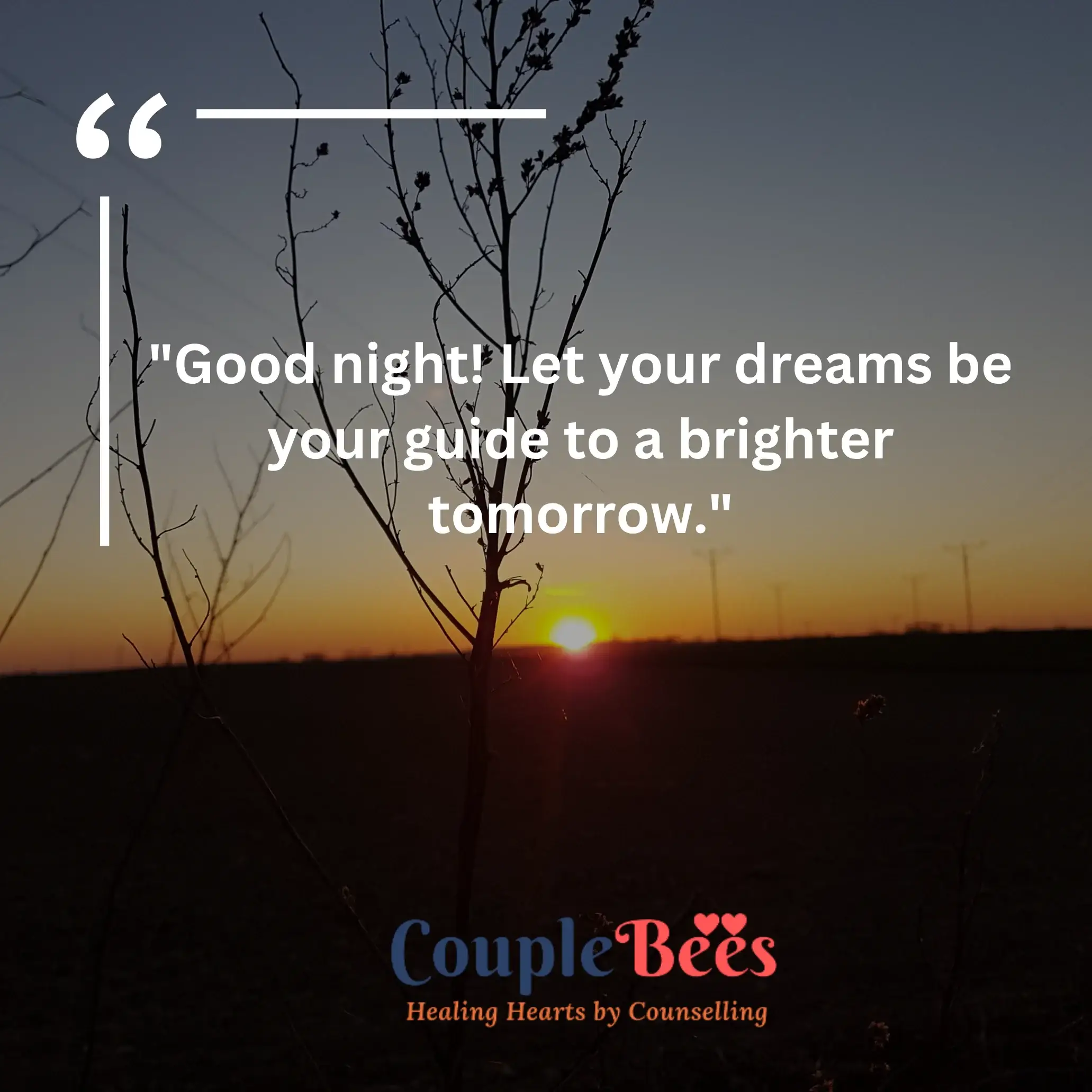 Good Night Quotes | CoupleBees