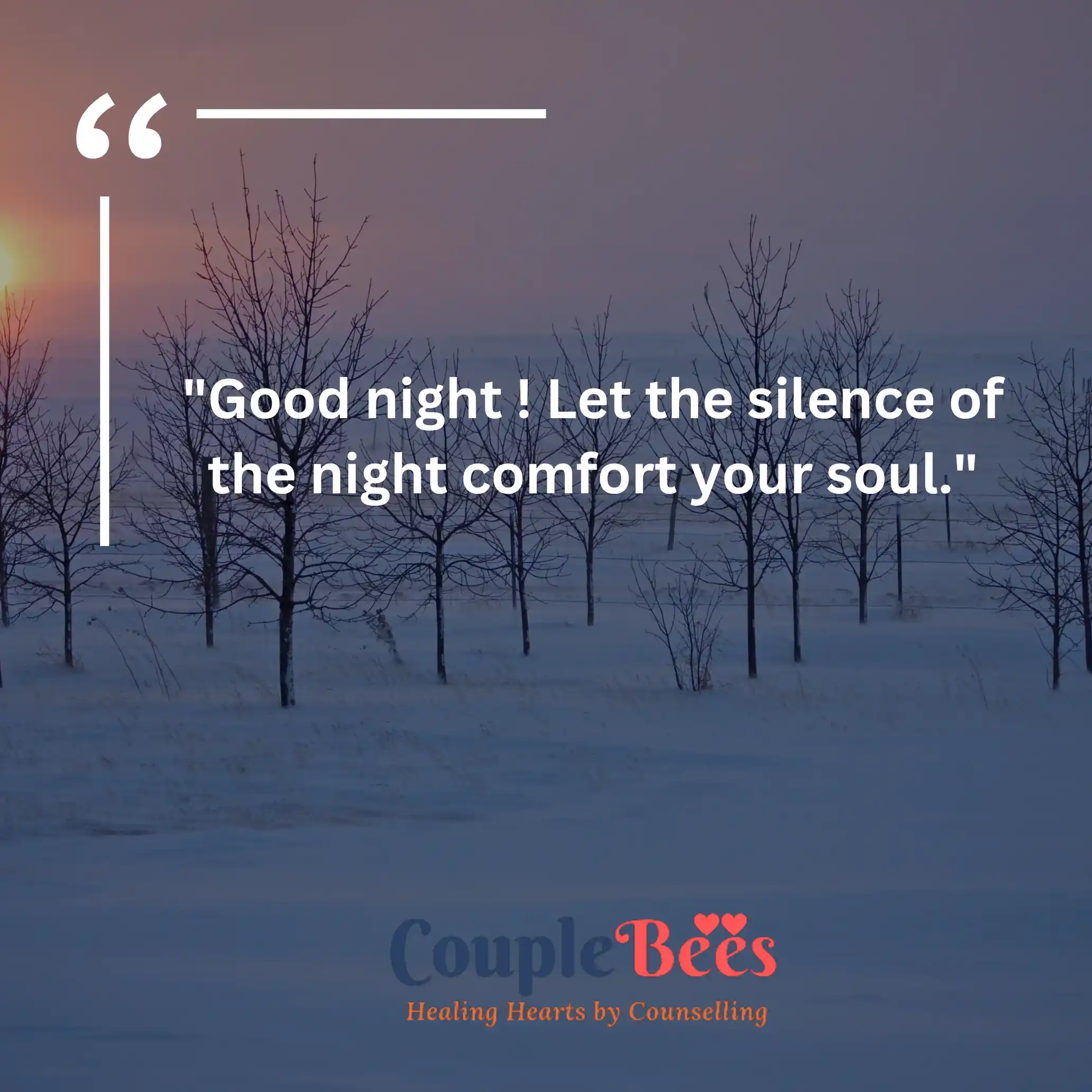 Good Night Quotes | CoupleBees