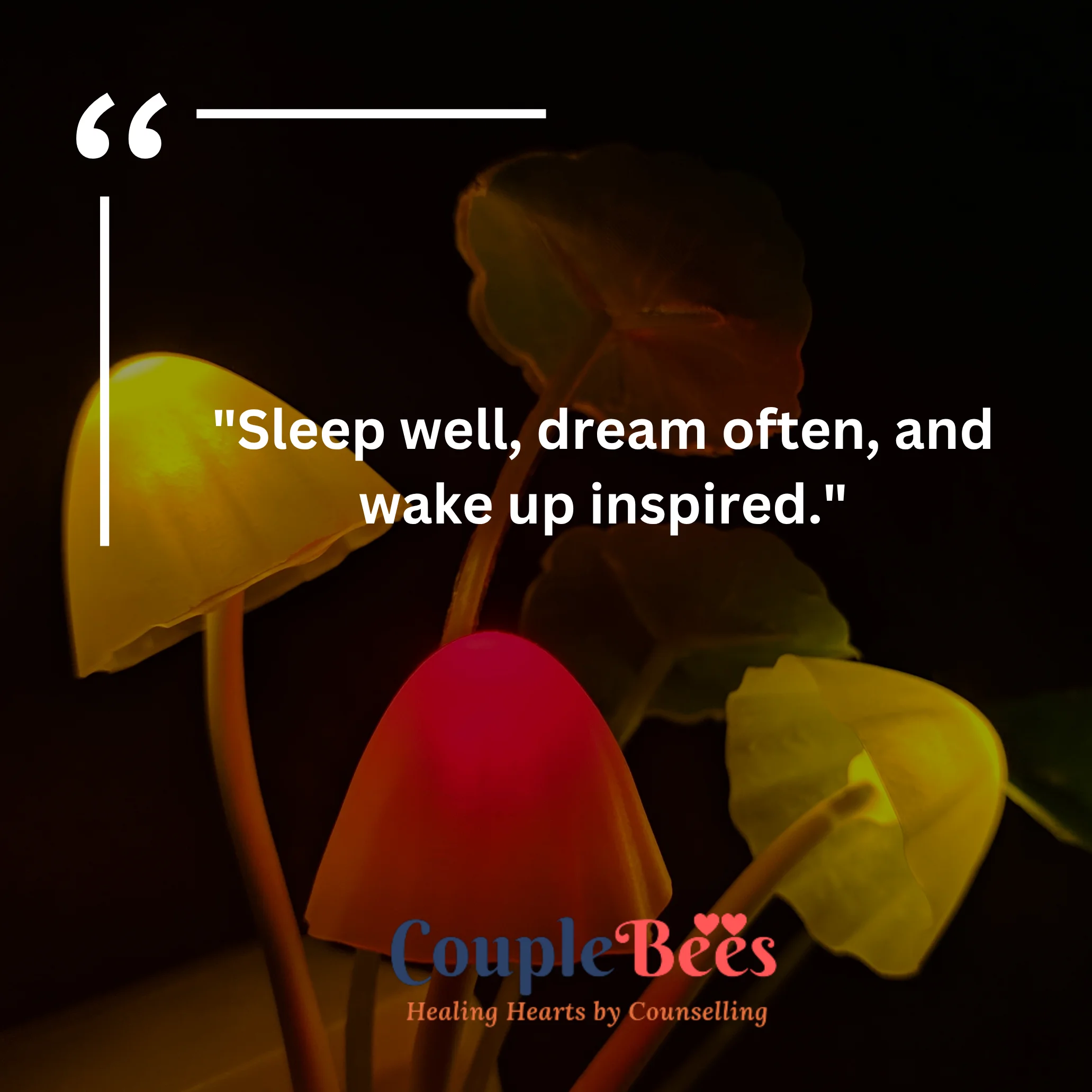 Good Night Quotes | CoupleBees