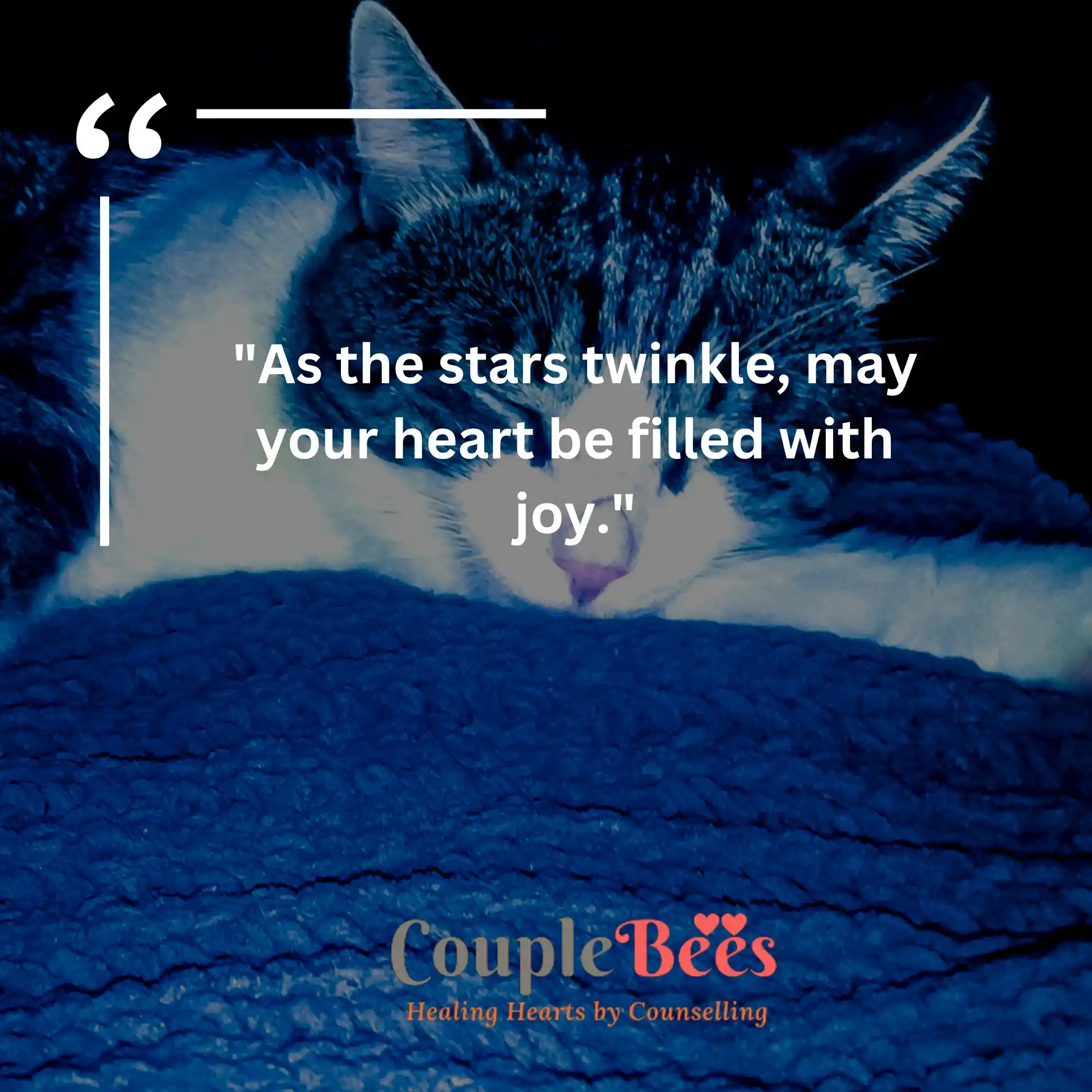Good Night Quotes | CoupleBees