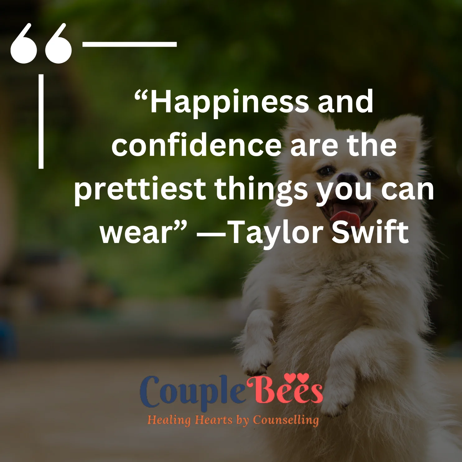 Happiness Quotes To Brighten Your Day | HopeQure