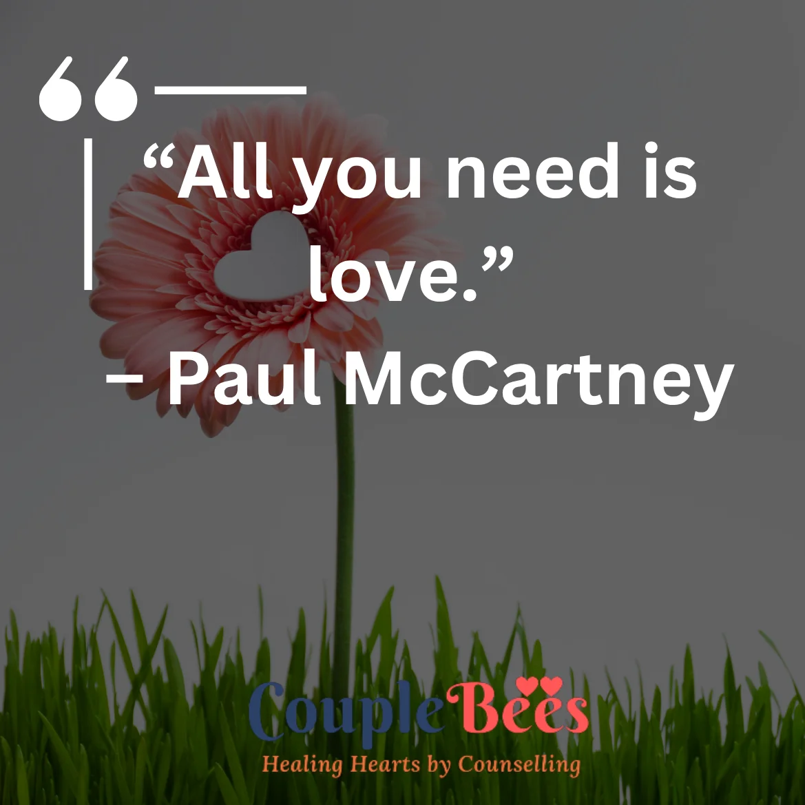 Romantic Love Quotes | HopeQure